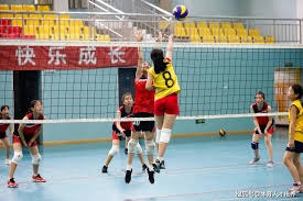 2025中国（瑞昌）国际羽毛球大师赛开赛